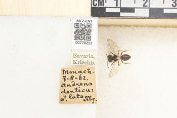 Media type: image;   Entomology 770211 Aspect: Labels